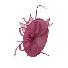Women's Wide Brim Fascinator