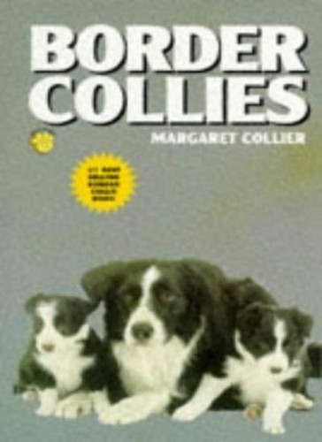 Border collies - border,