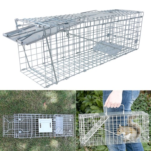 Live animal cage - live,