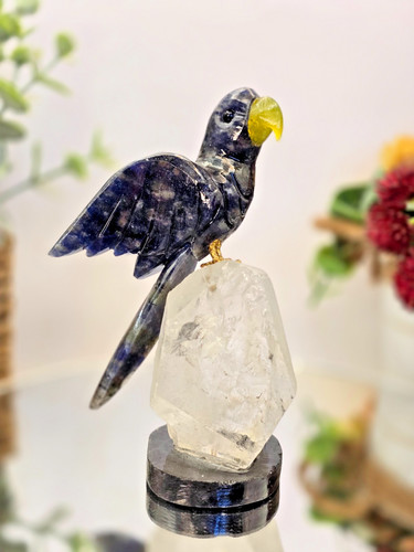 Hand carved dark blue - dark, macaw