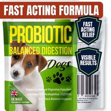 Dog probiotic tablets - dog, gut