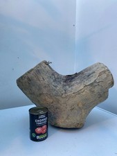 Large Driftwood Piece ideal