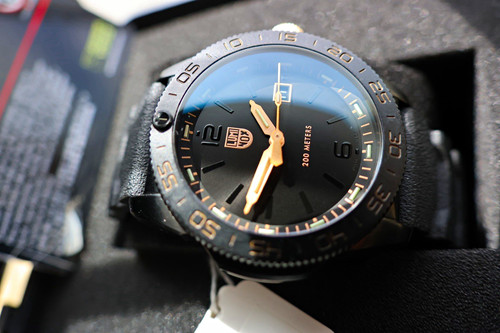 Luminox pacific diver - luminox,