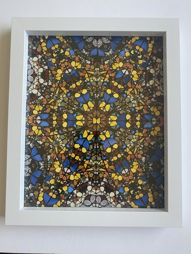 Damien hirst unsigned print - hirst,