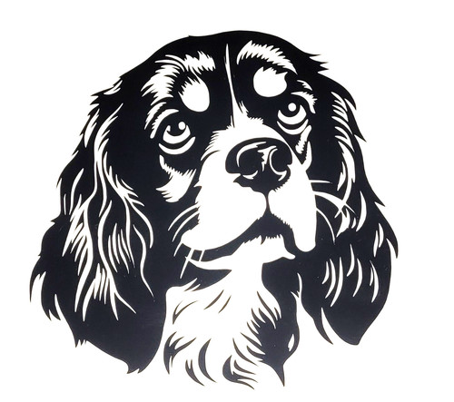 Cavalier king charles dog - cavalier,