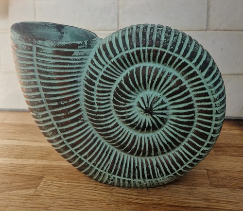 Large nautilus shell ammonite - shell,
