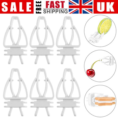 50x cuttlefish bone fruit - cuttlefish,