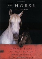 Horse by J Warren Evans