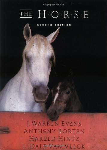 Horse warren evans - by,