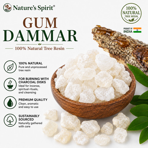 Gum dammar damar tree resin - gum, dammar-damar-tree