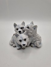 Trio Of Cuddling Baby Wolf