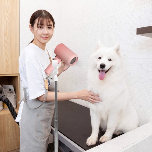 Hair dryer bracket dog - ,