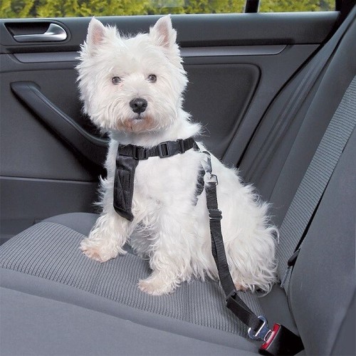 Dog car harness with trixie - harness,