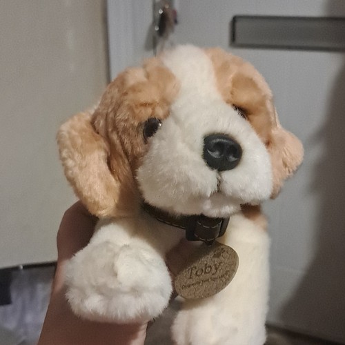 Keel toys plush dog soft - keel,