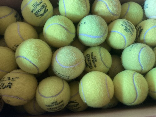 Used tennis balls - used, -great