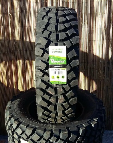 215 insa sahara - sahara, mud