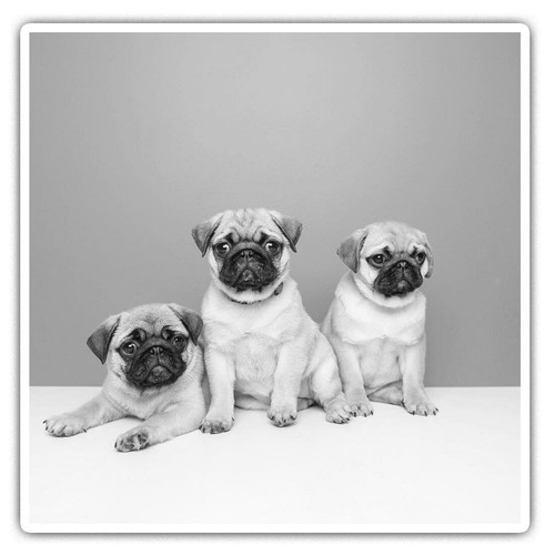 Square stickers cm - 2,