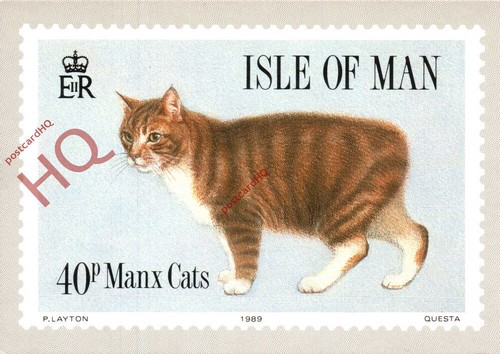 Picture postcard manx cats - manx,