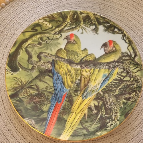 Bone china plate - bone,