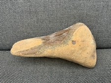 Large Fossil Whale Bone