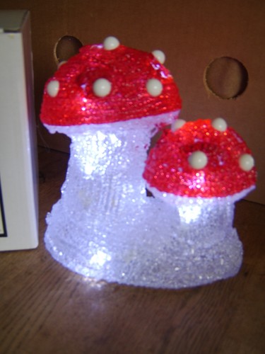 Christmas toadstool mushroom - toadstool,