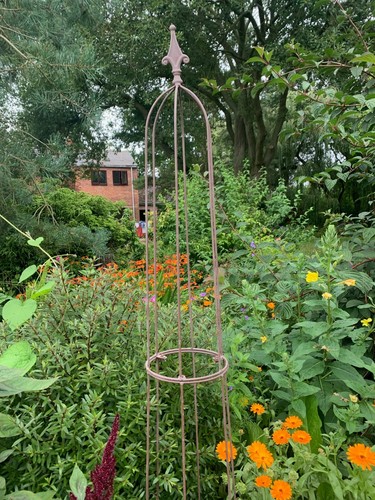 Metal garden obelisk climbing - garden,