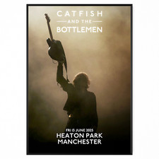 Catfish and the Bottlemen