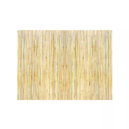 Natural rolled bamboo fence - bamboo,