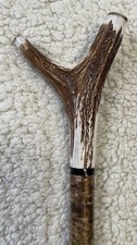 STAG HORN THUMB STICK ON HAZEL SHANK