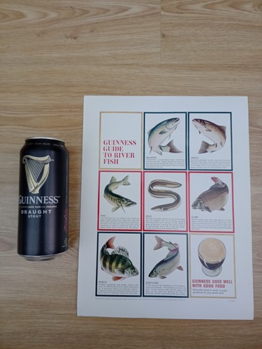 Guinness 1950s print - guinness,