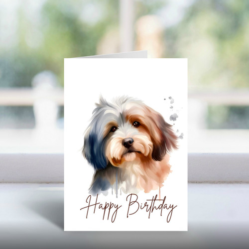 Havanese birthday card a5 - birthday, |