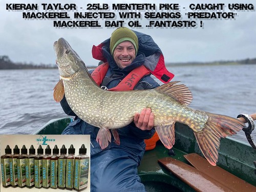 Pike lure blood red natural - red,