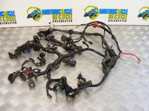 Triumph street triple wiring - triumph,