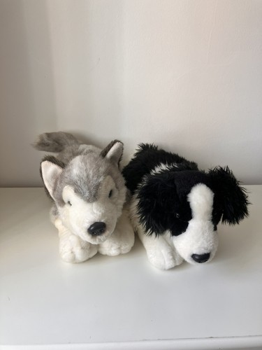 Keel toy dog - puppy, border