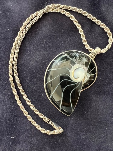 Vintage natural nautilus shell - vintage,