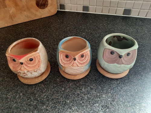 Little owl plant pots with - owl,