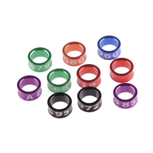 Professional bird leg rings - bird,