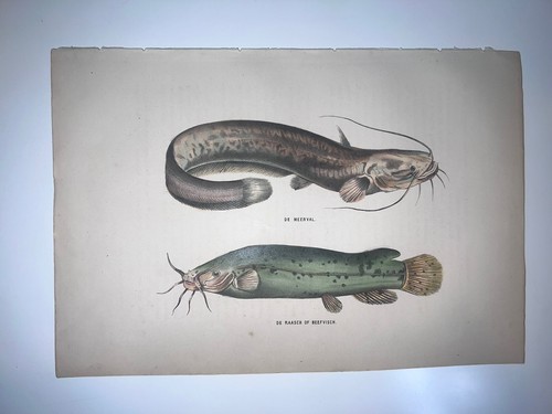1864 antique hand - 1864,