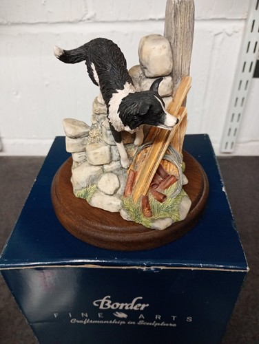 Border fine arts collie bob - border,