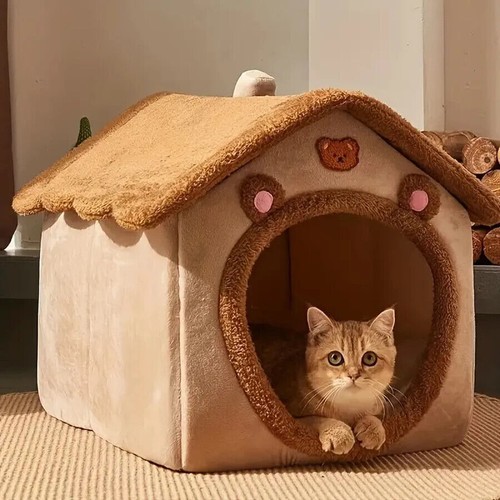 Small pet cozy sleeping - pet,