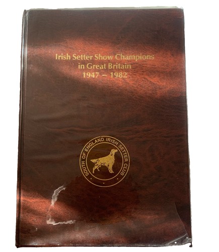 Irish setter show champions - irish,