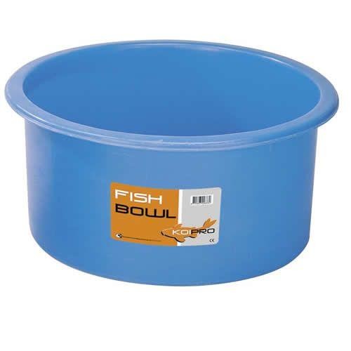 Koi round inspection - inspection, blue