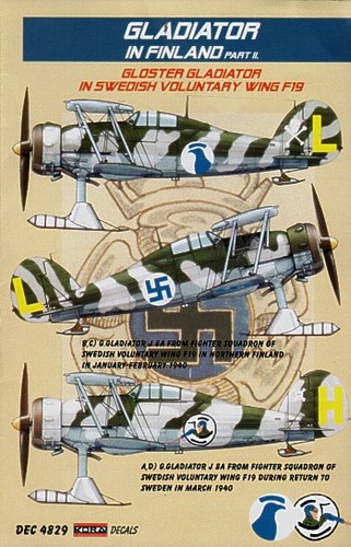 Kora kord4829 gloster - kord4829,