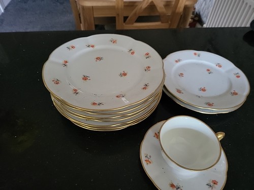 Reduced rare piece - piece, cmielow