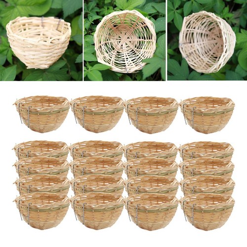 20pcs bird breeding - bird,