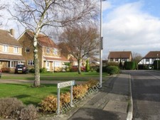 Photo 6x4 Greenfinches