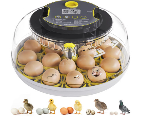 Incubator for hatching eggs - for, eggs-18