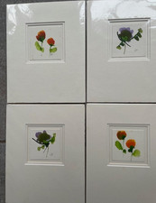 Choose from selection of Jean