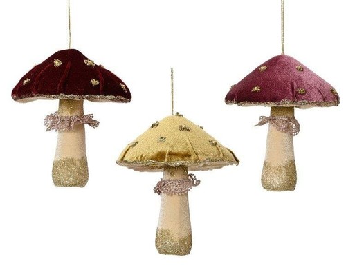 Hanging velvet mushroom - x,