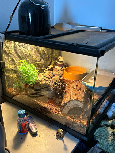 Exo terra glass reptile - exo,